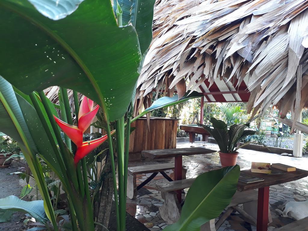 Talamanca Cabins Cahuita Exteriér fotografie